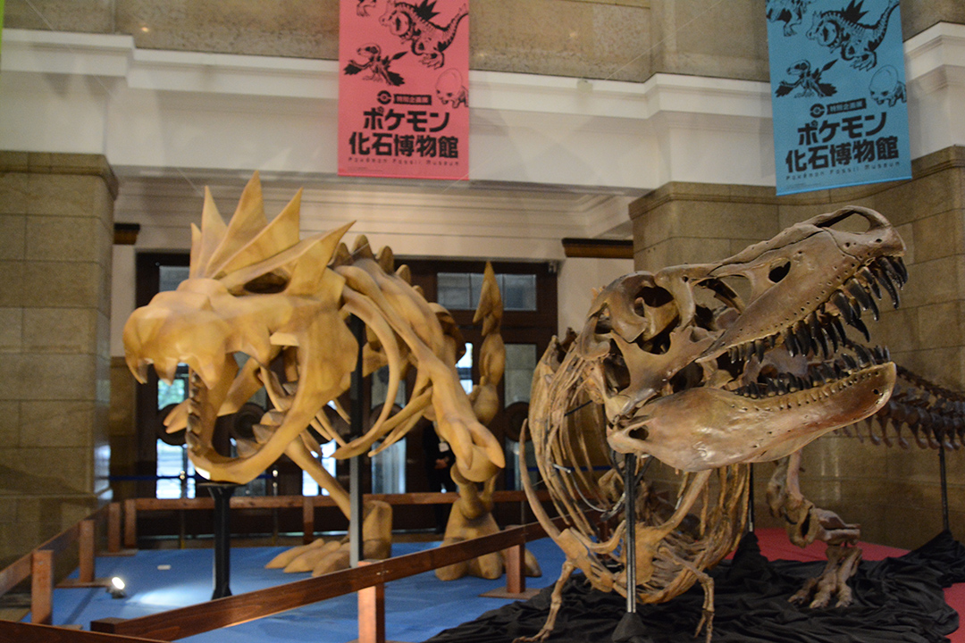 巡回展 ポケモン化石博物館 レポート ポケモンの世界とおれたちの世界の生き物を比べてみよう コロコロオンライン コロコロコミック公式